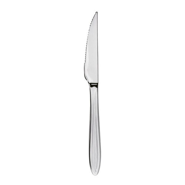 Gastro biffkniv 22 cm mirror polish