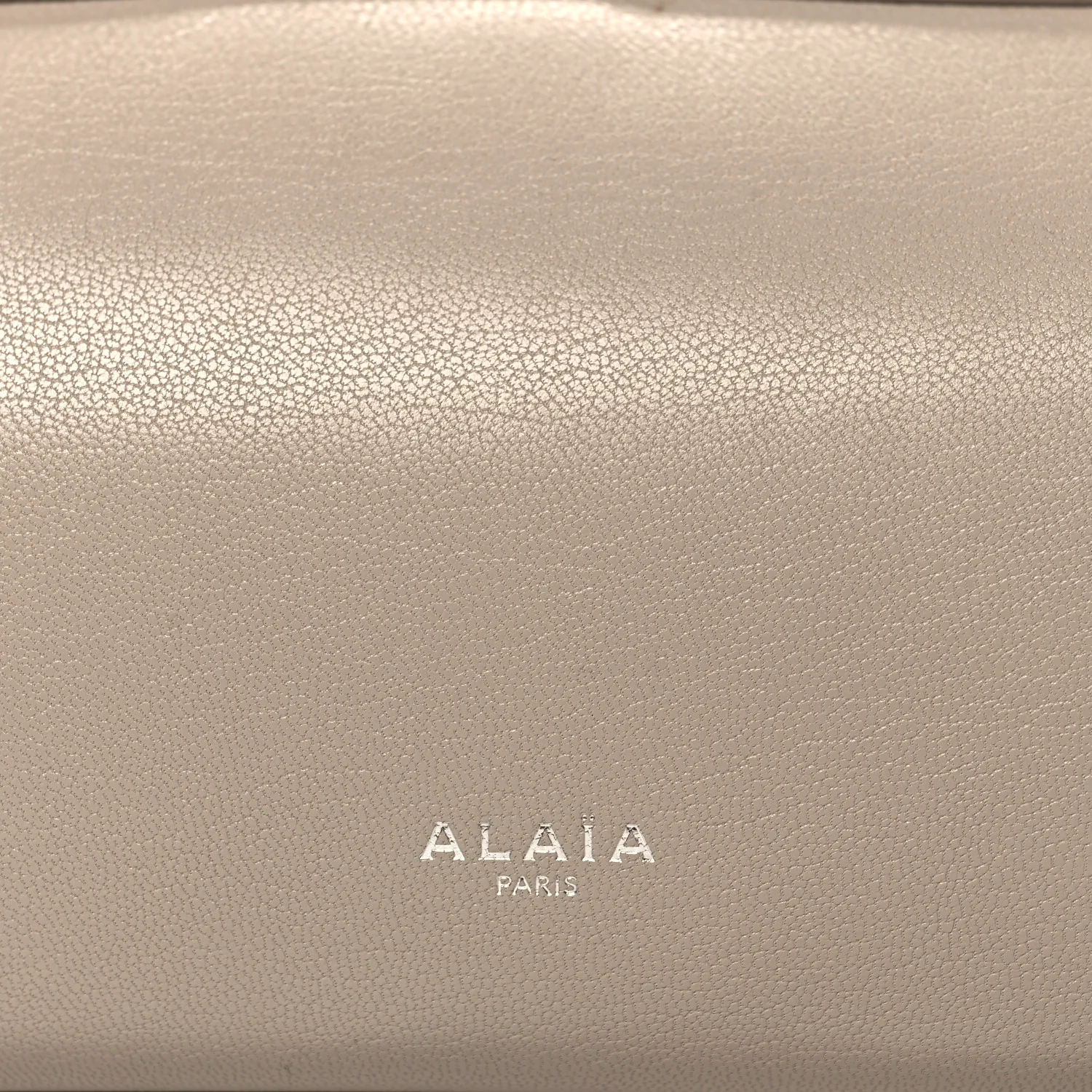 Shiny Goatskin Medium Le Teckel Bag Grege