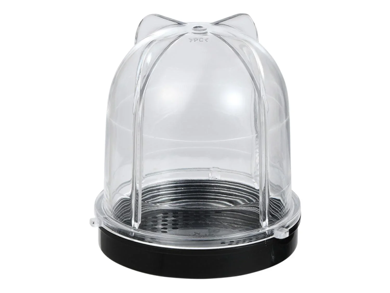 Bergner Blender  smoothie