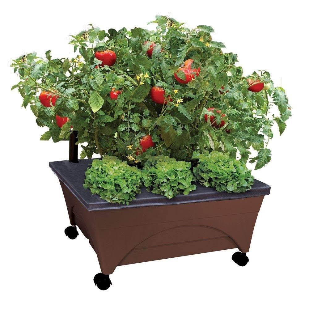 Emsco Group 20-in W x 24-in L x 10-in H Earth Brown Raised Garden Bed