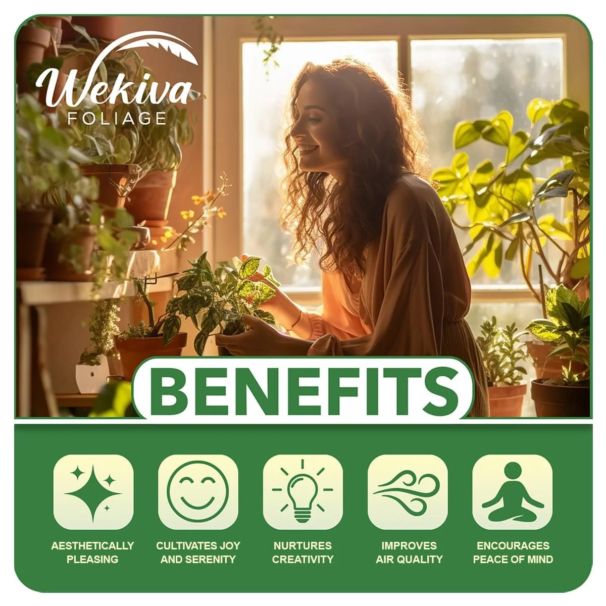 Brogdon Avocado Tree Grafted Live Plant in a 3 Gallon Growers Pot Persea Americana Beautiful Edible Fruit Bearing Tree for Patio and Garden(Brogdon) - Image 5