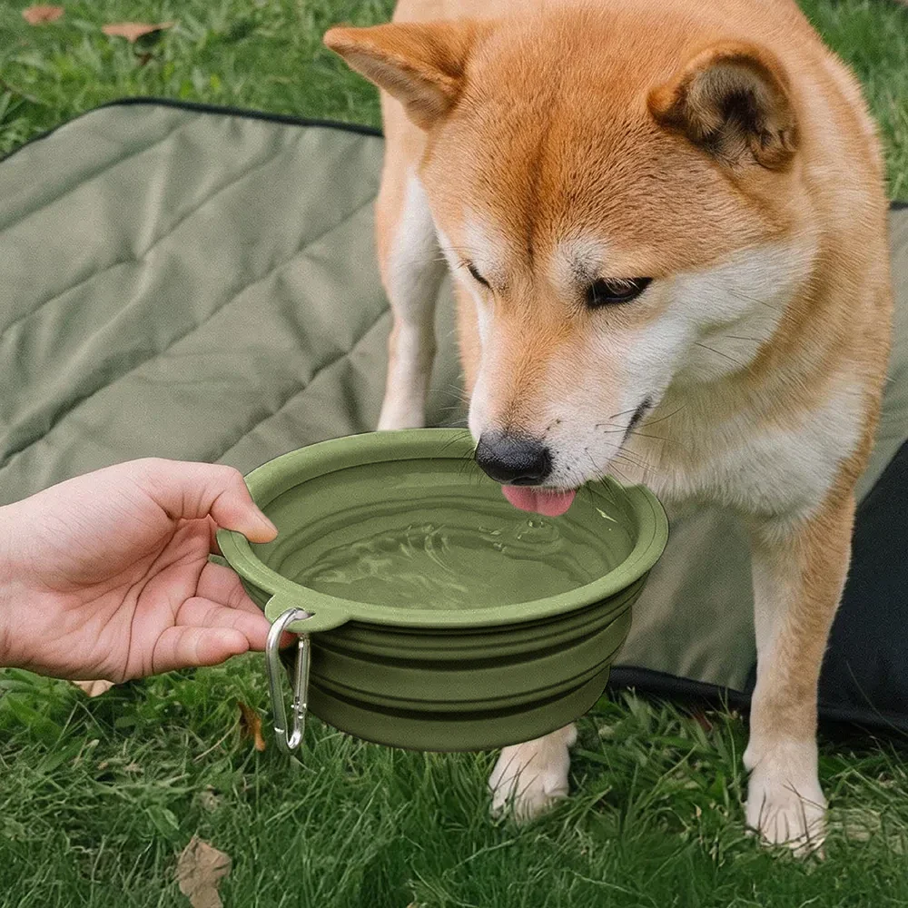Collapsible Silicone Dog Bowl-Urban Roaming