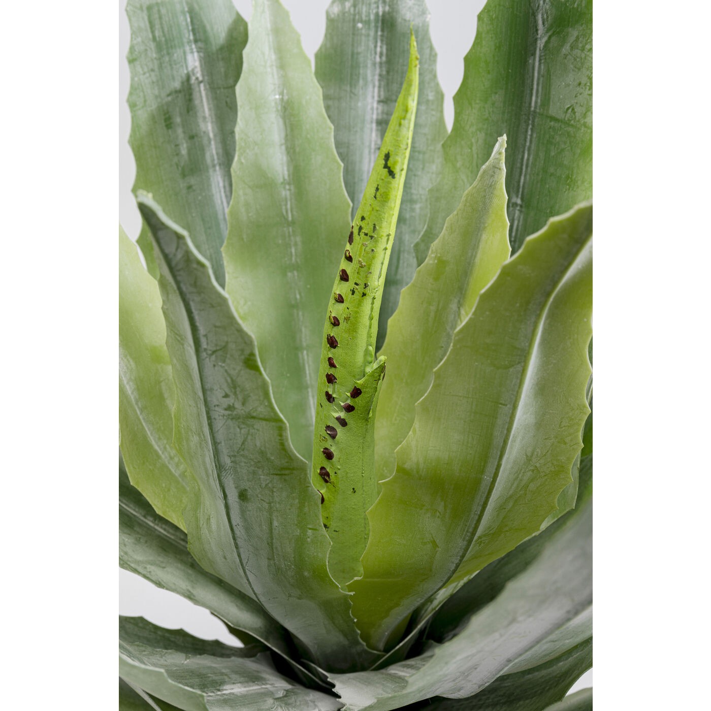 Kunstplanten agave 40cm Kare Design