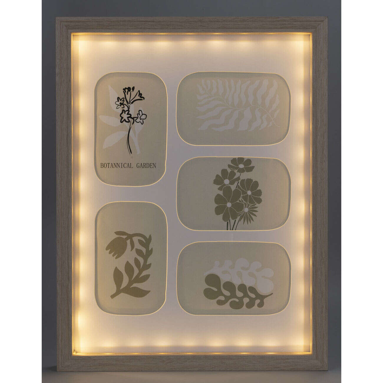 Cadre LED déco 5 vues nature végétaux 33xH43cm (2 modèles)
