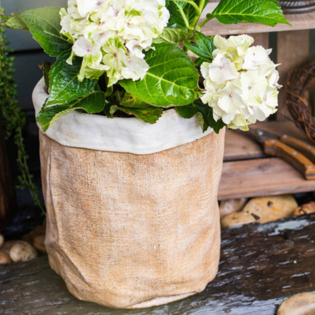 Home Garden Decorative Succulent Plant Pot Rustic Style Cement Flower Pots & Planters