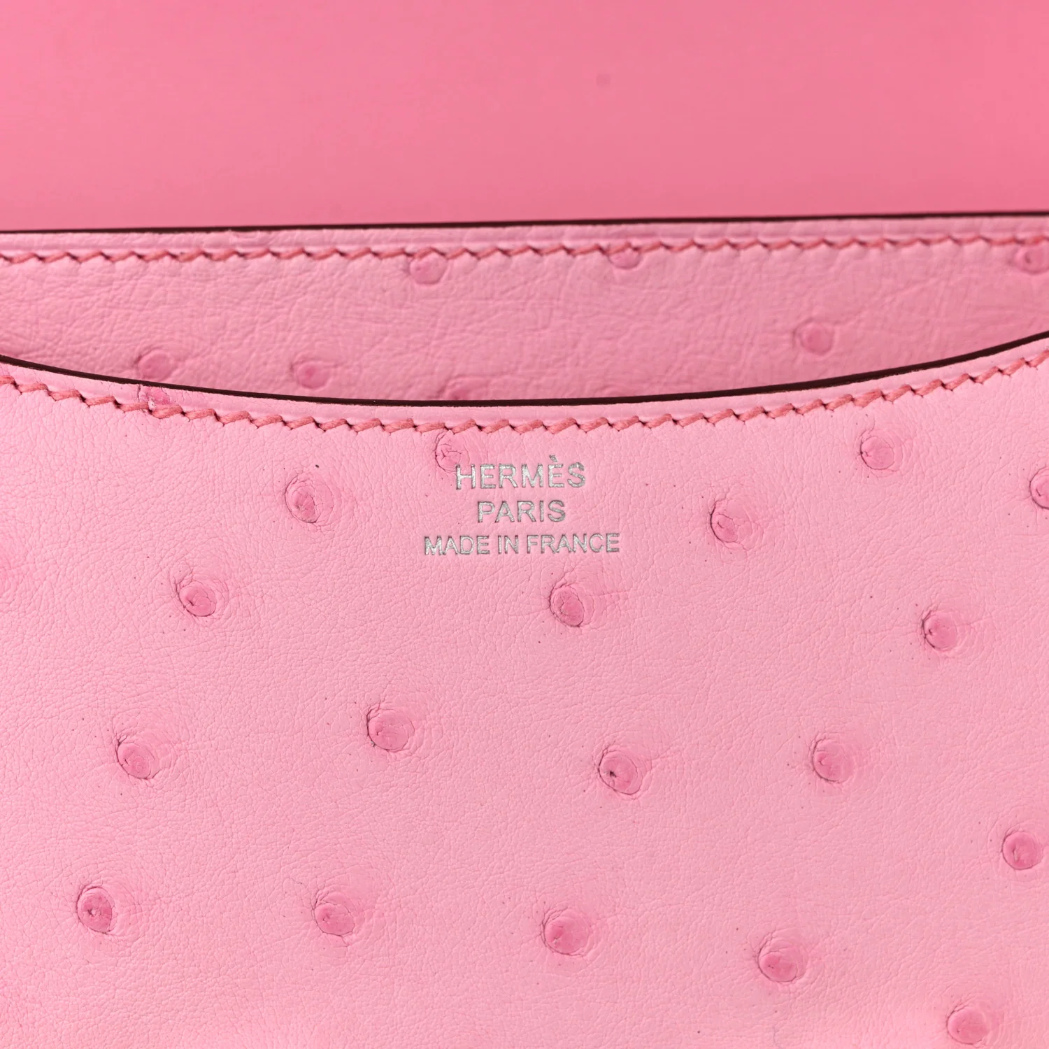Ostrich Constance 18 Bubblegum
