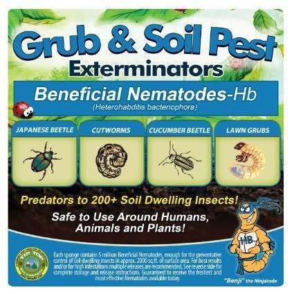 5 Million Live Beneficial Nematodes HB - Soil Pest Exterminator