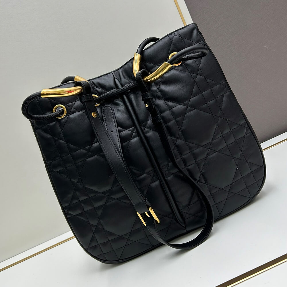 Large Dior Nolita Bag
