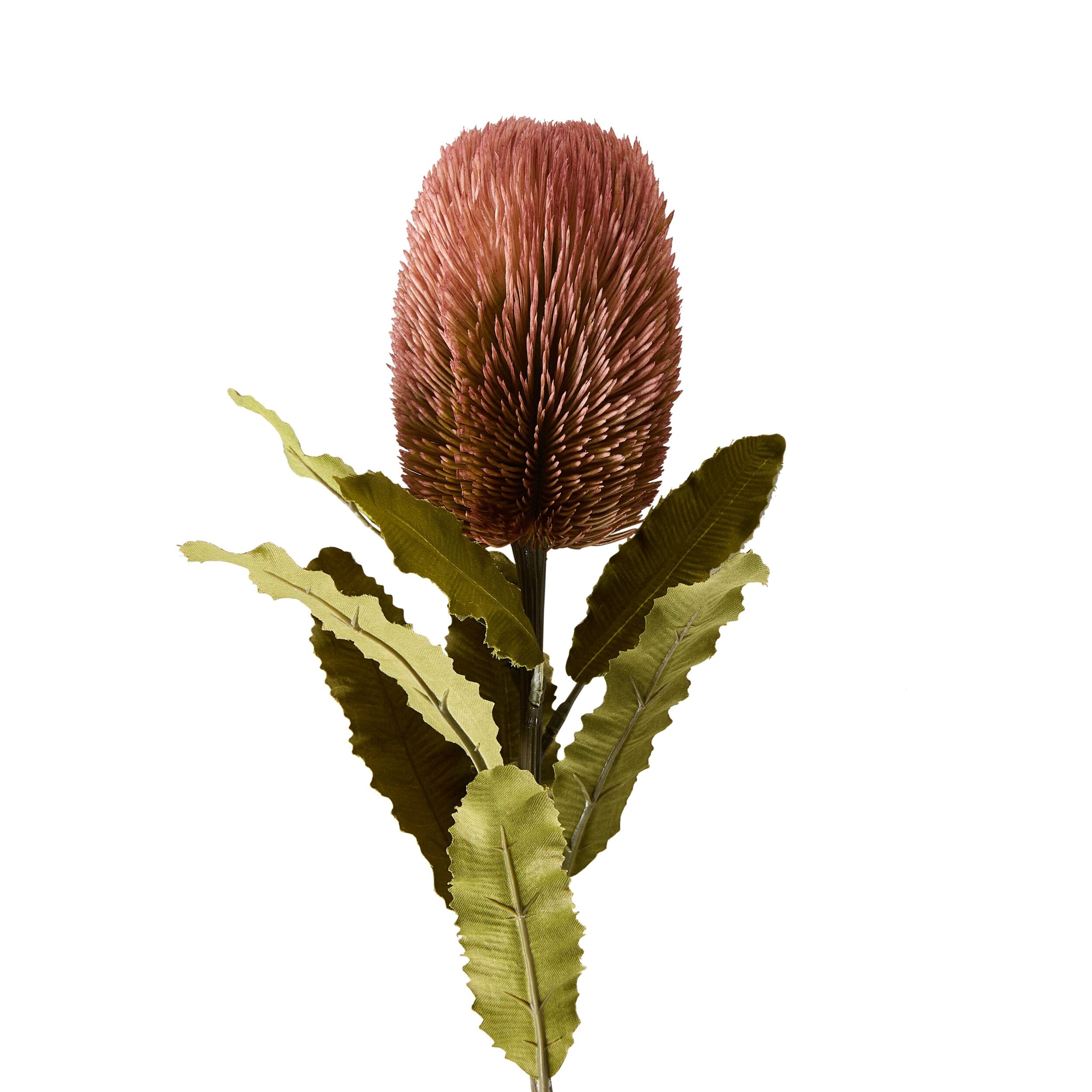 Bloomery Banksia Stem Pink 65cm
