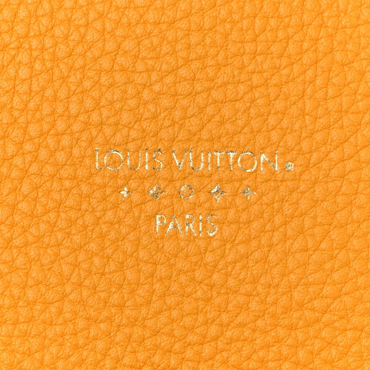 Grained Calfskin LV Pont 9 Soft PM Sunbeam