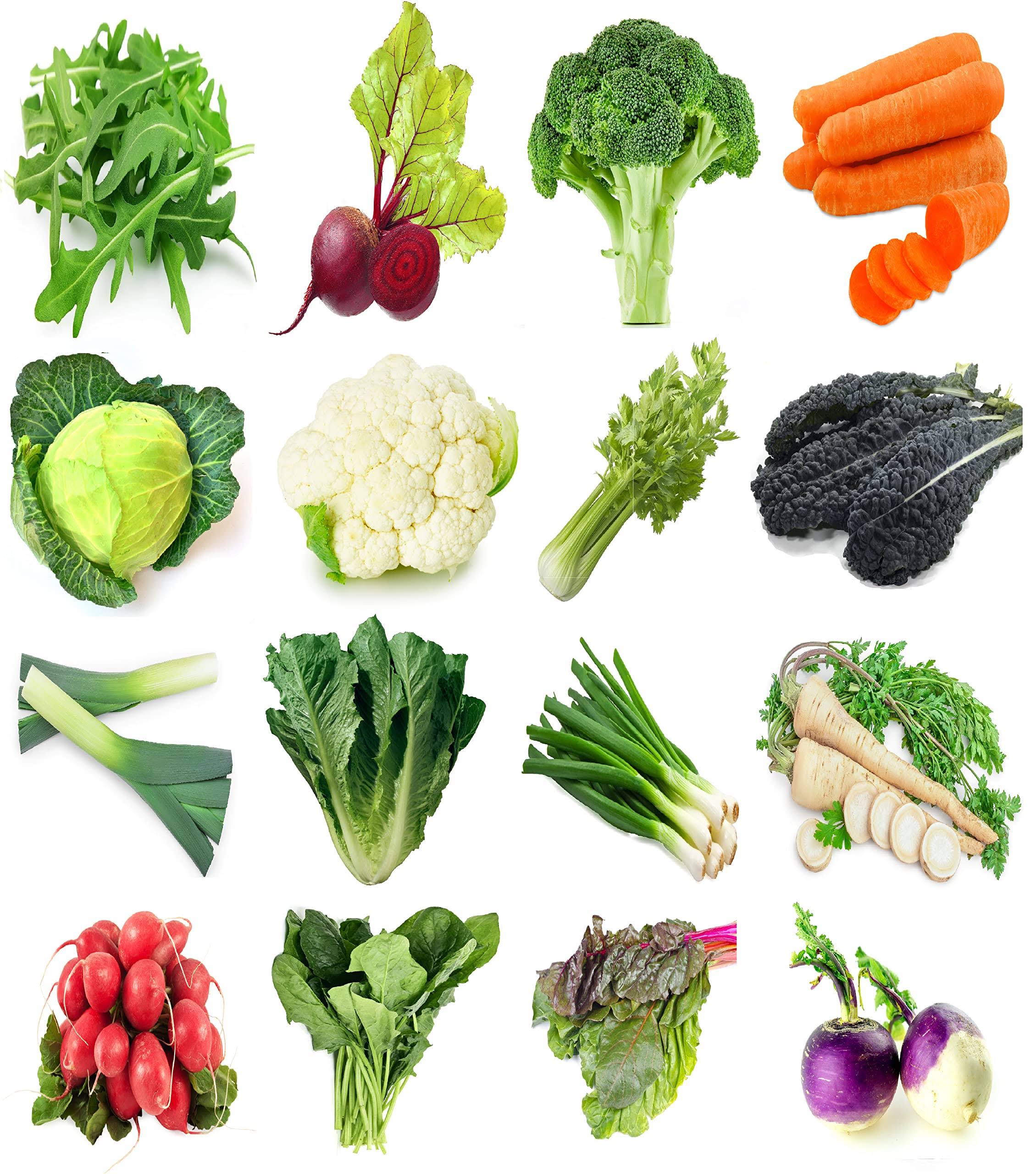 Sunutri Seeds Winter Vegetable Seeds Variety Pack 16 Heirloom Seed Kit 6500+ Seeds Arugula Beet Broccoli Cabbage Cauliflower Carrot Celery Chard Kale
