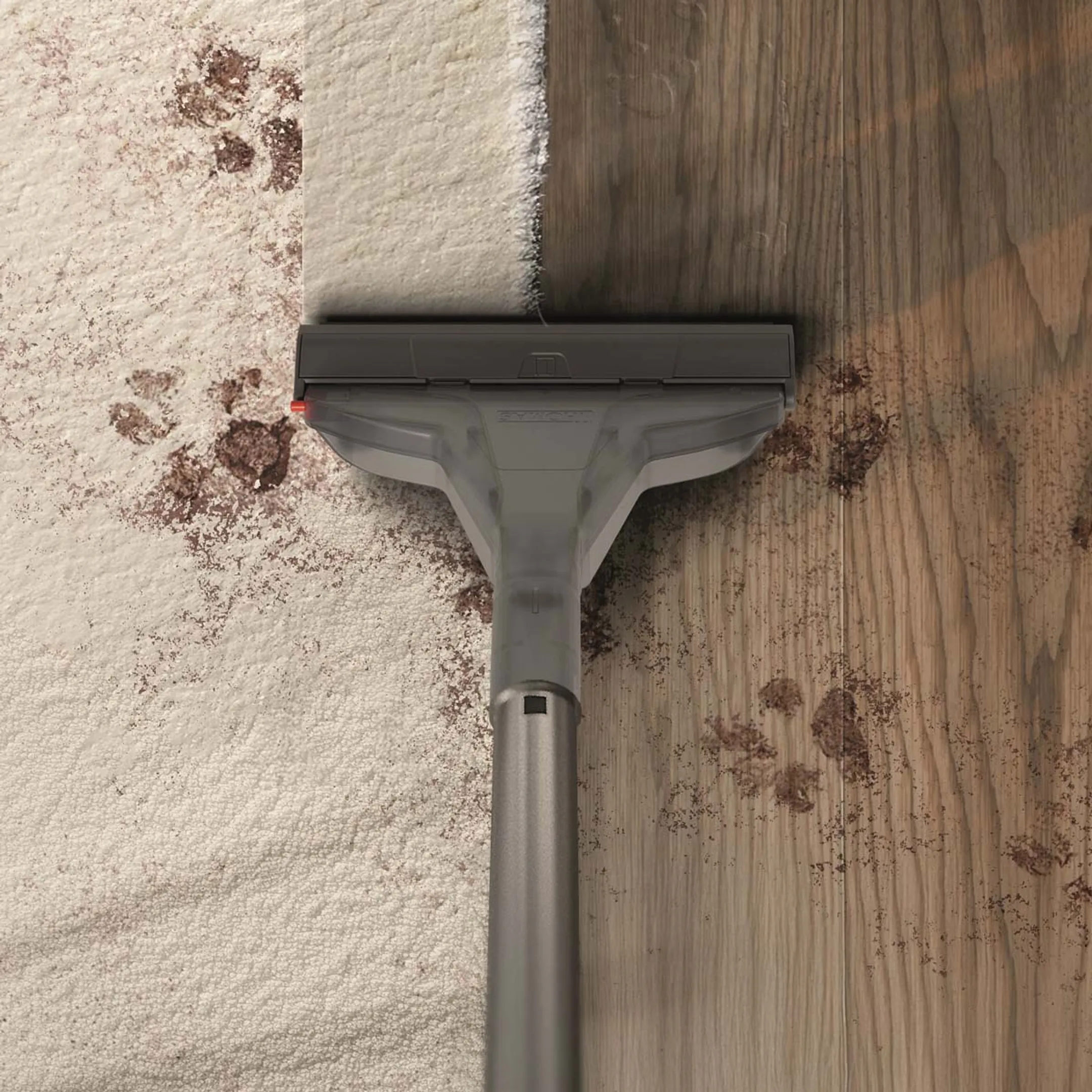 Thomas Stofzuiger zonder zak Aqua + Pet & Family PLUS