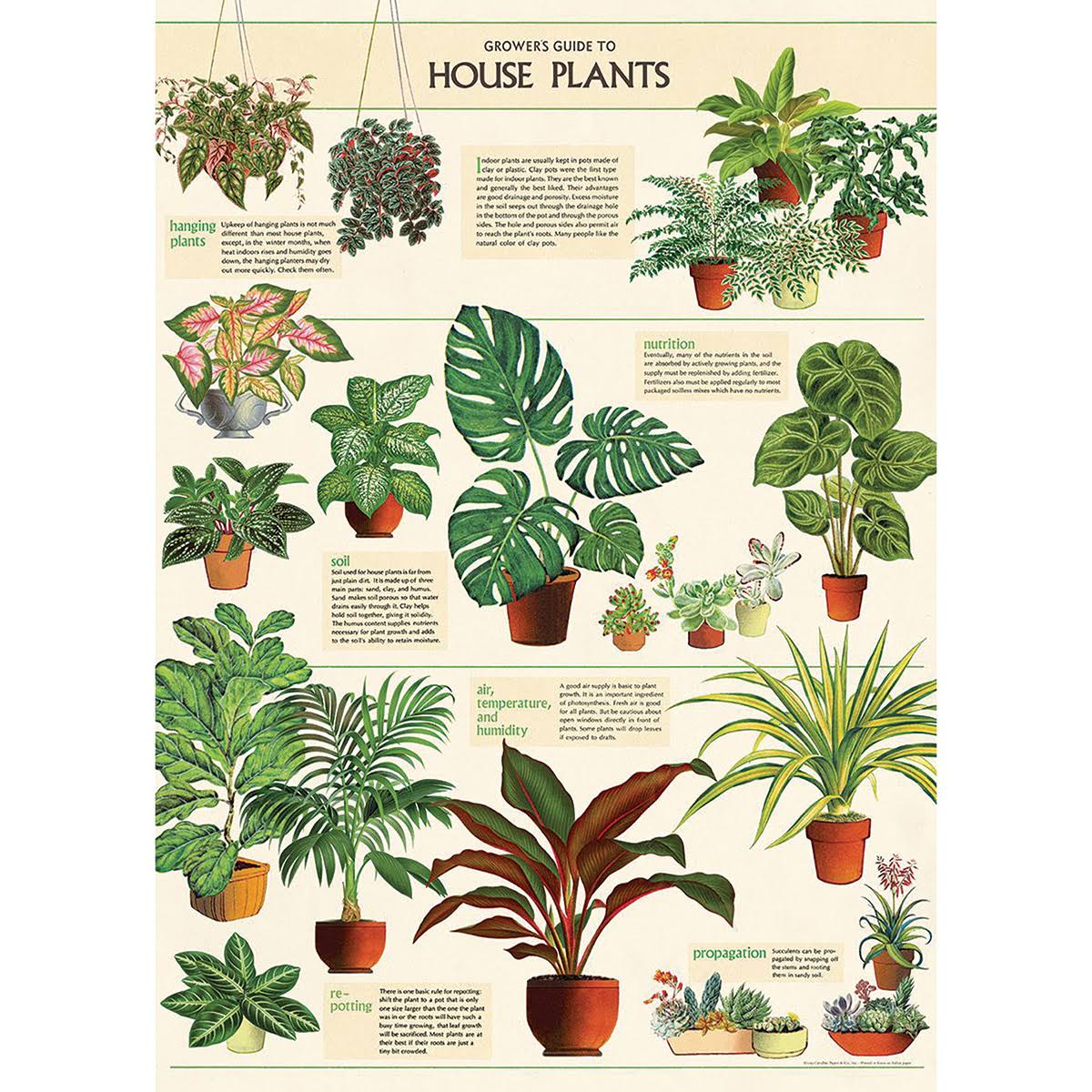 Cavallini & Co. House Plants Wrap & Poster
