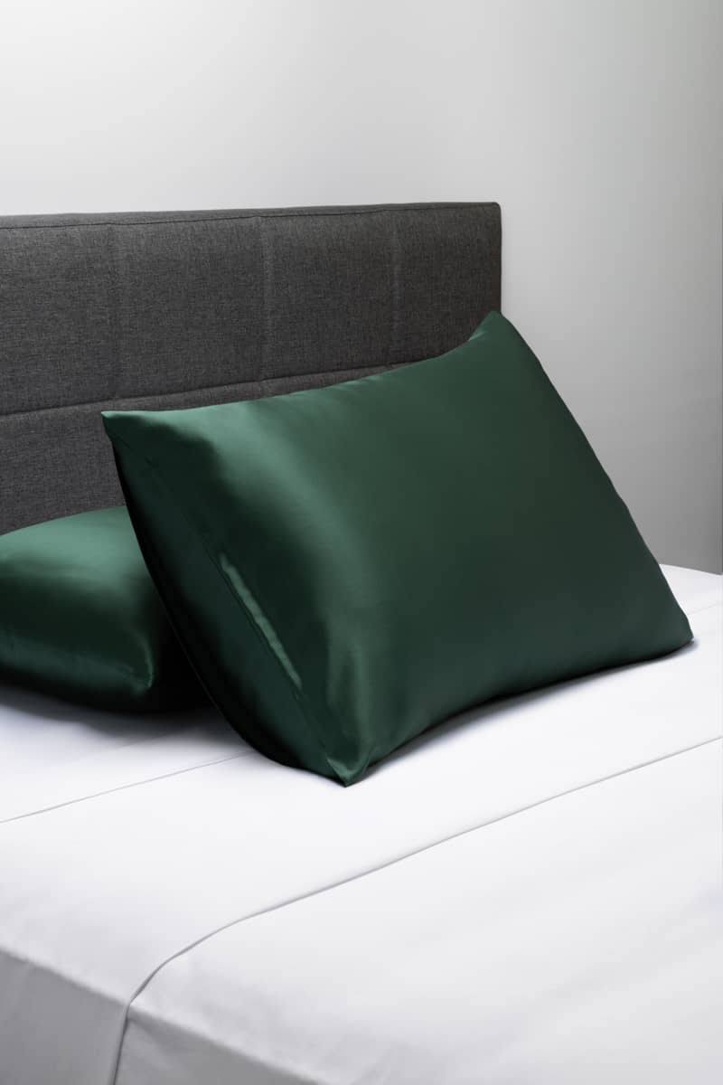 19 Momme 100% Pure Mulberry Silk Pillowcase - Exceptional Value - Good Housekeeping Quality Tested | Fishers Finery