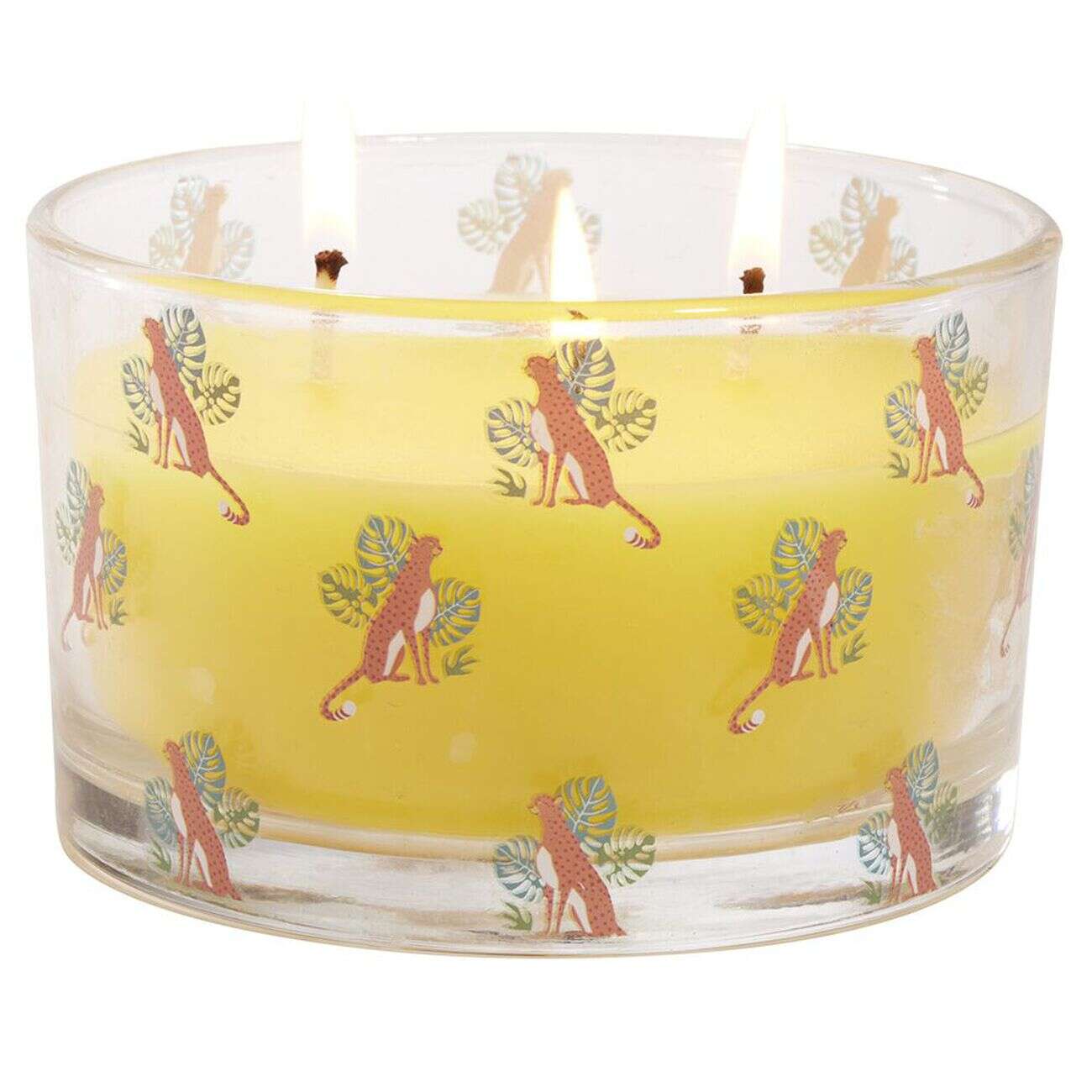Bougie citronnelle pot en verre motif tropical 30H - Ø13xH8cm