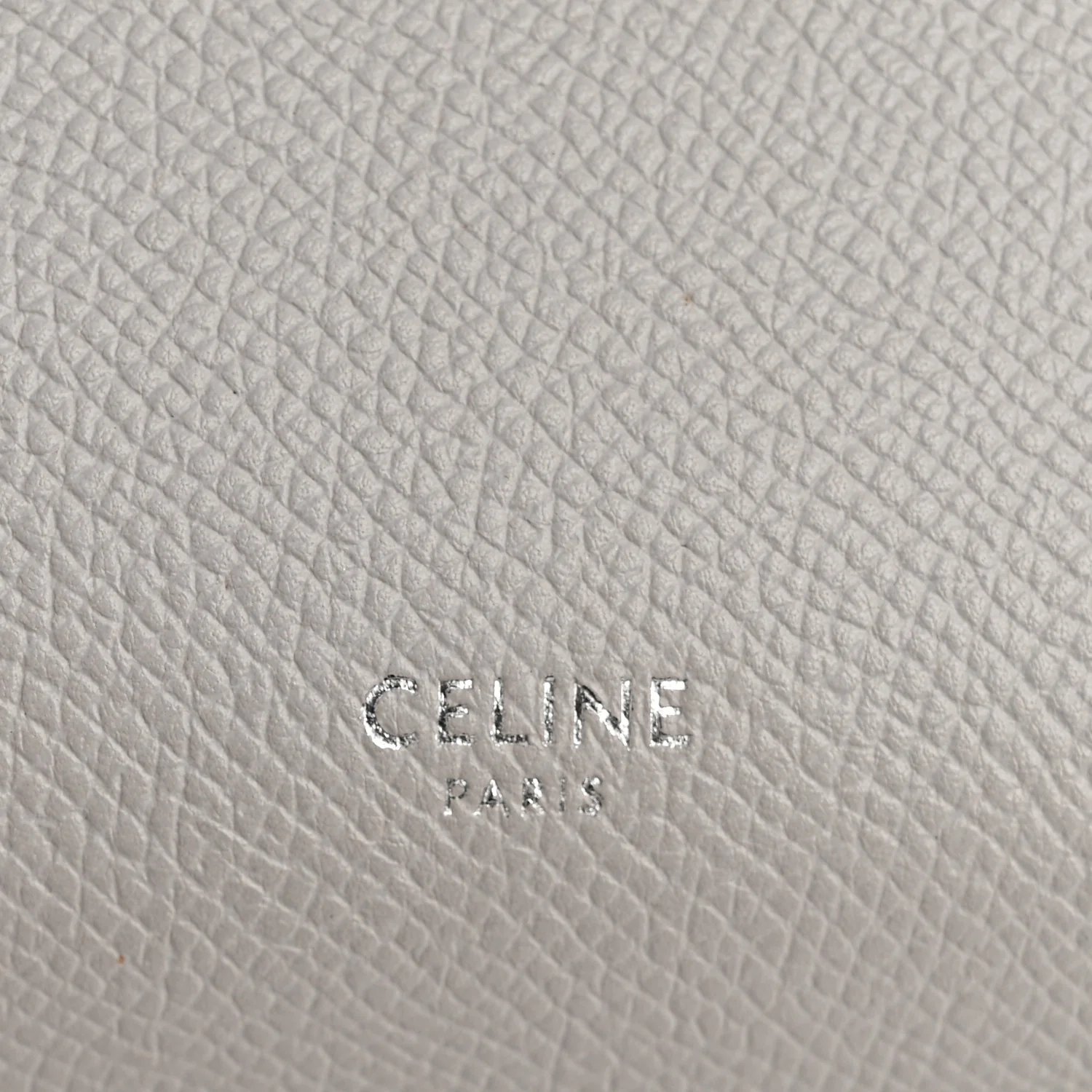 Grained Calfskin Nano Belt Bag Mineral