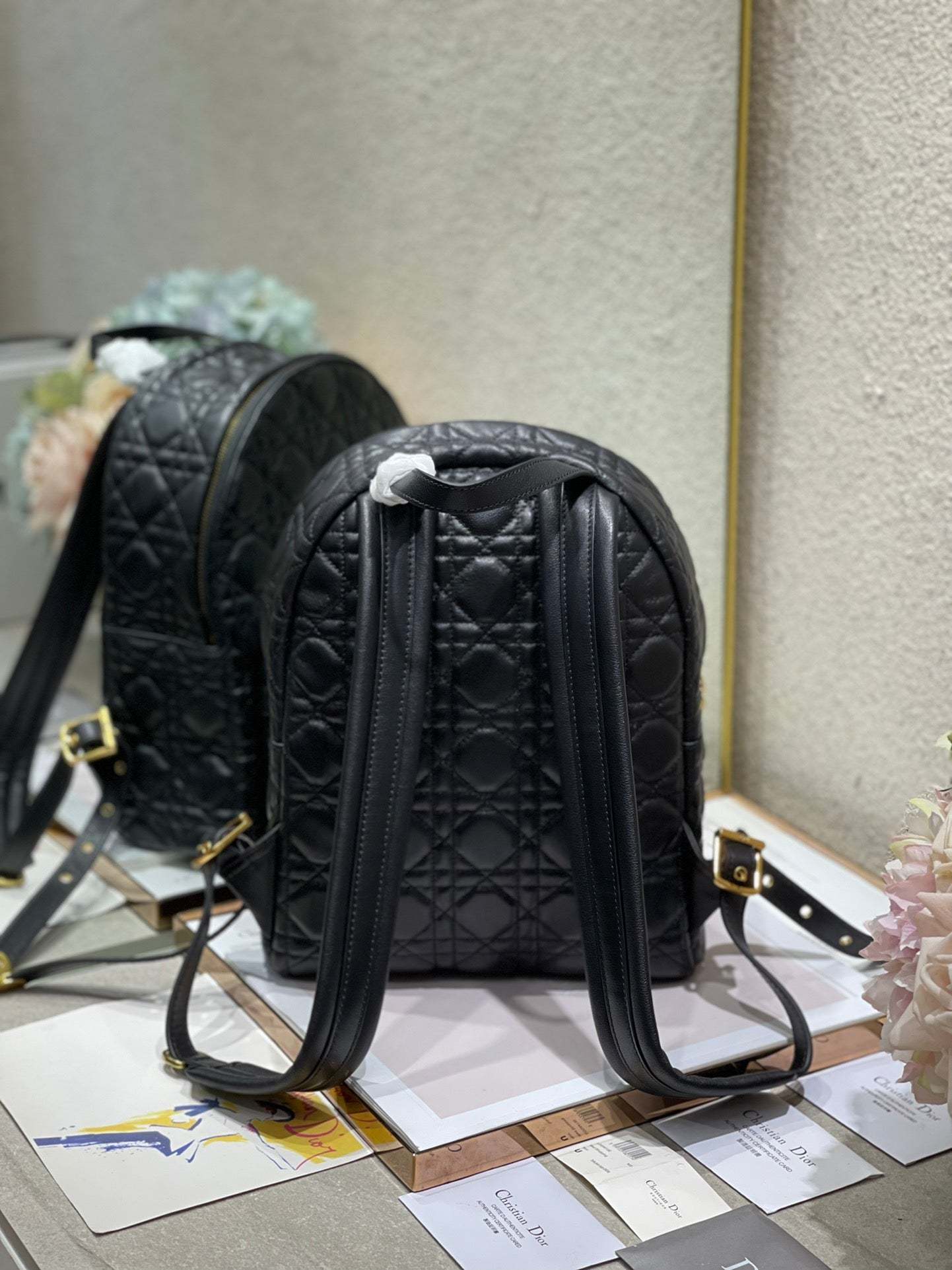 CD   Backpack