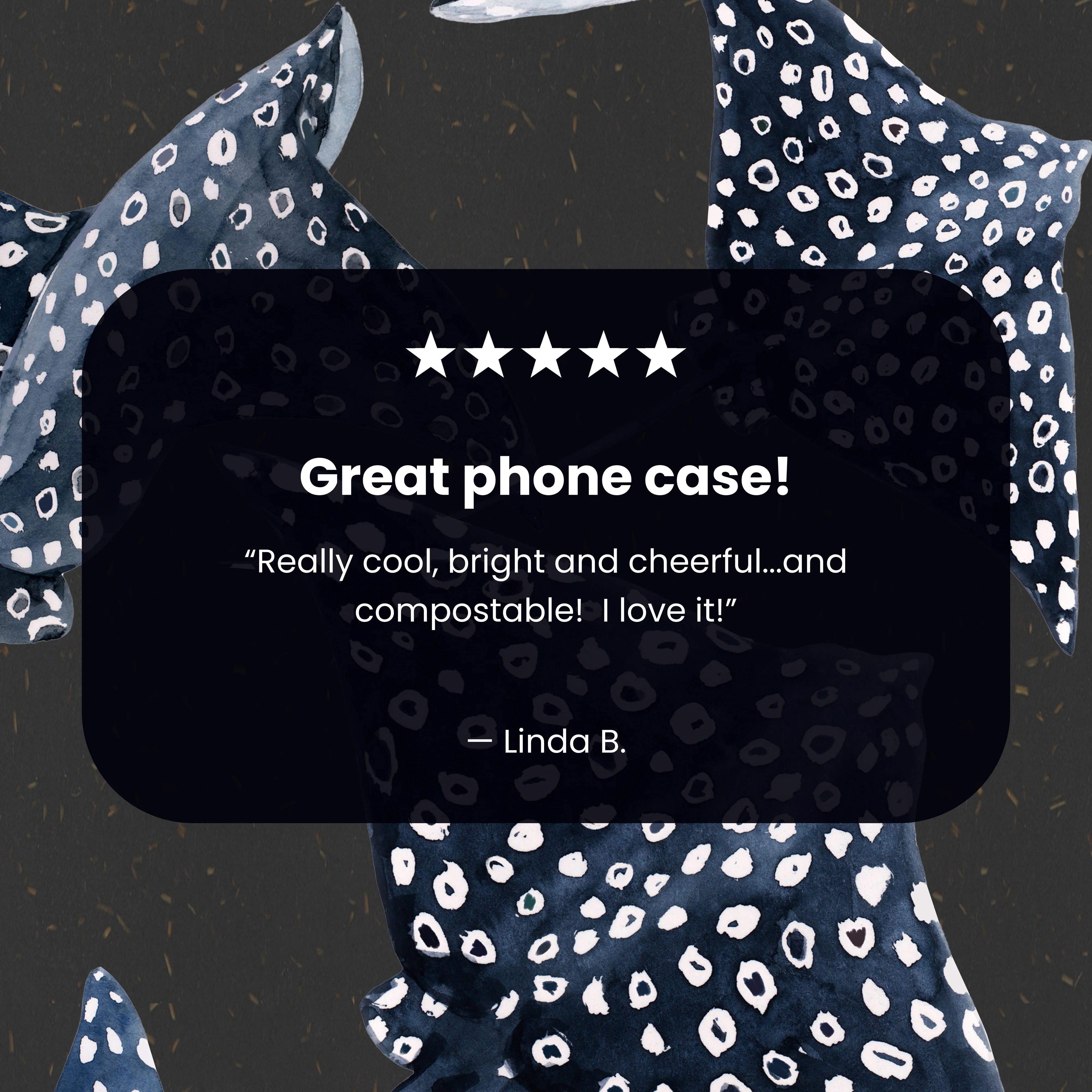 Black Midnight Rays iPhone 17 Pro Max Case