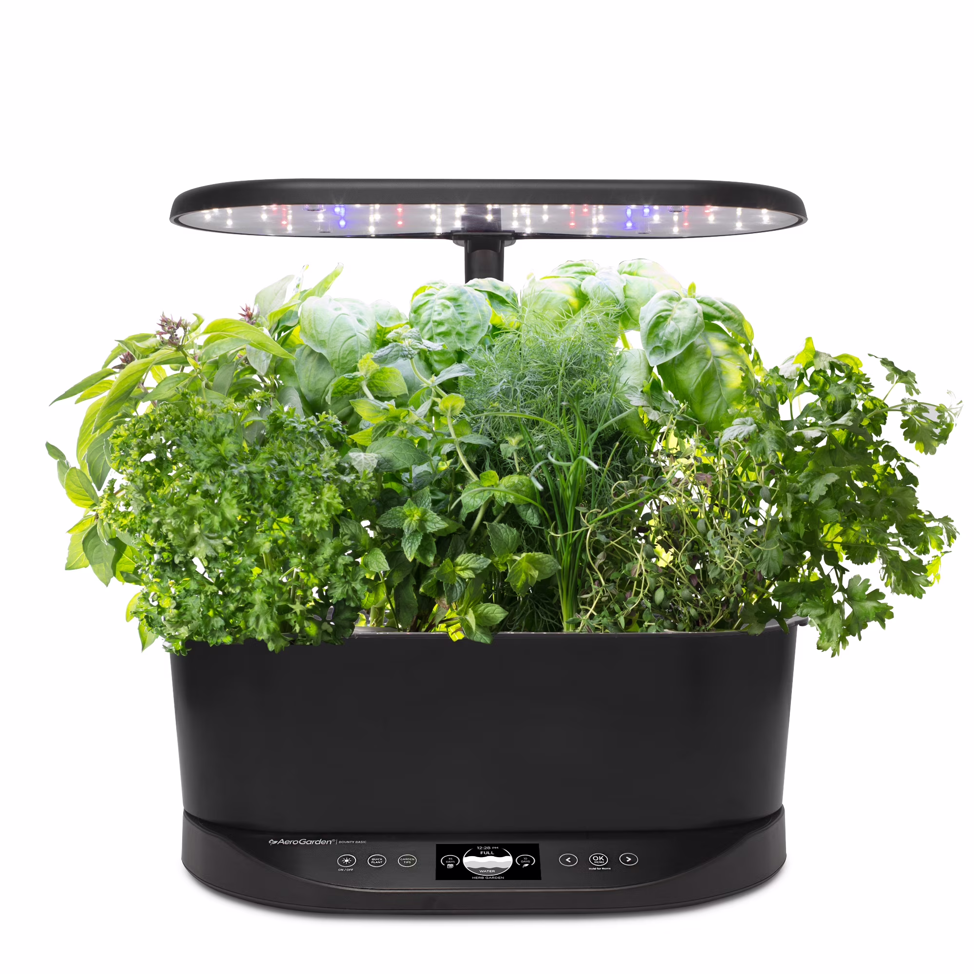 Bounty Basic Indoor Garden with LED Grow Light, Black(Black)