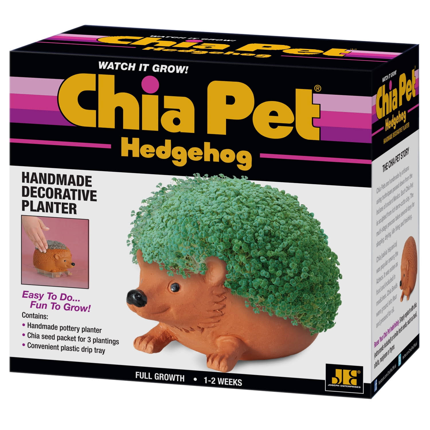 Hedgehog Chia Pet Decorative Planter