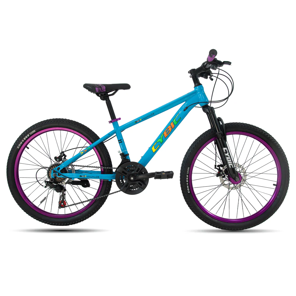 Cybic 24 inch Mountain Bike with Iron Frame,21Speed,Disc Brakes Bicycle, Purple