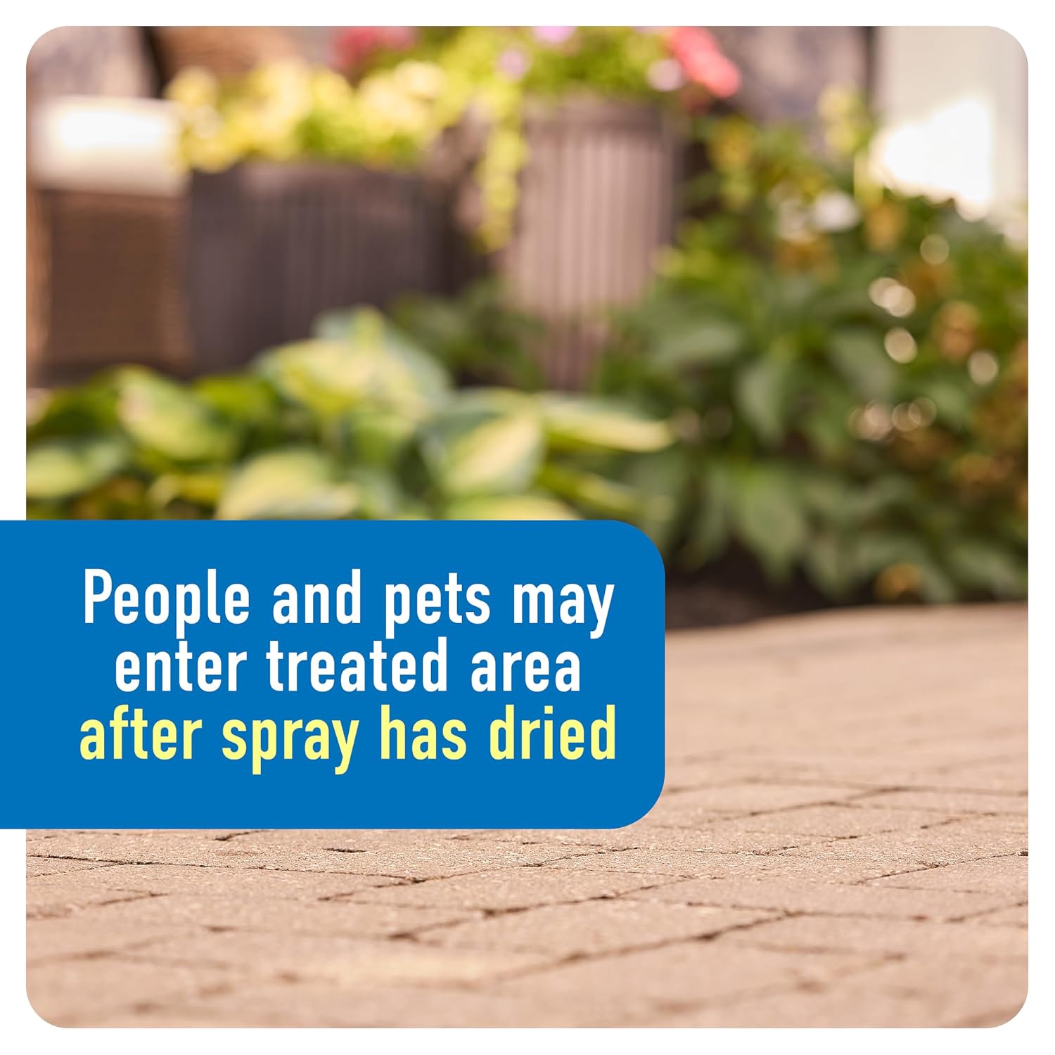 Roundup Weed & Grass Killer4 with Pump 'N Go 2 Sprayer, 1.33 gal| Weed Killer, Use In and Around Flower Beds and Driveways, Visible Results in Hours, Up to 10 Minutes of Continuous Spray