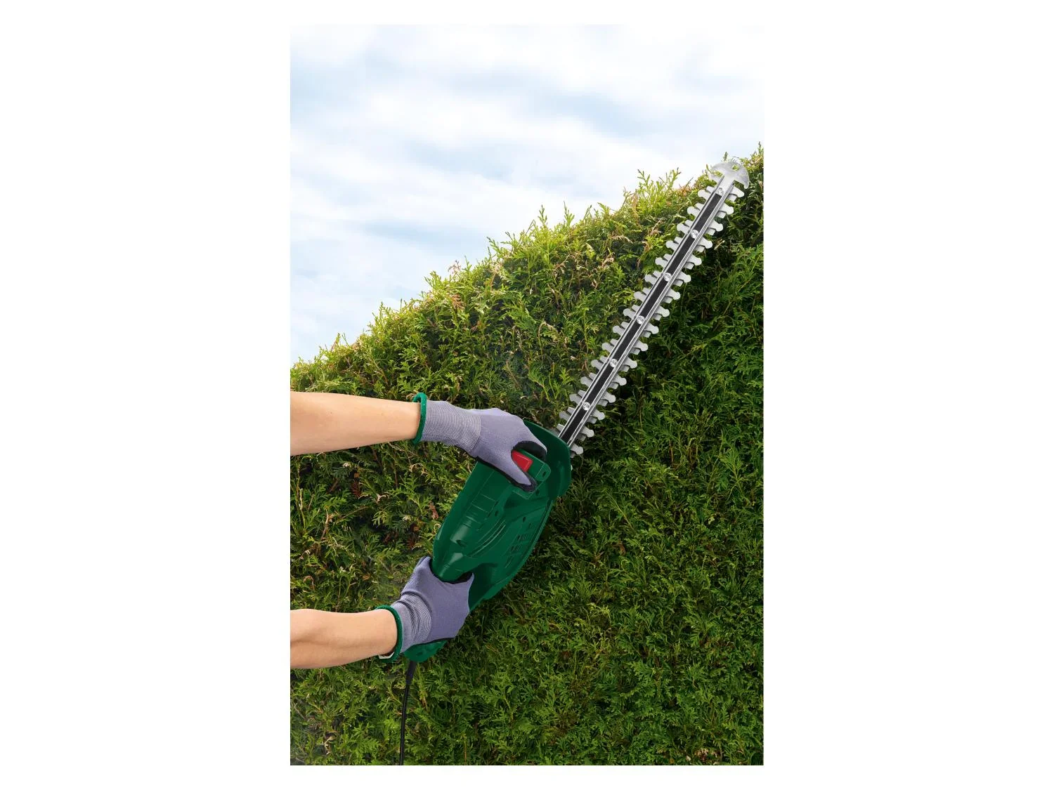 PARKSIDE Taille-haies lectrique PHS 450 A1