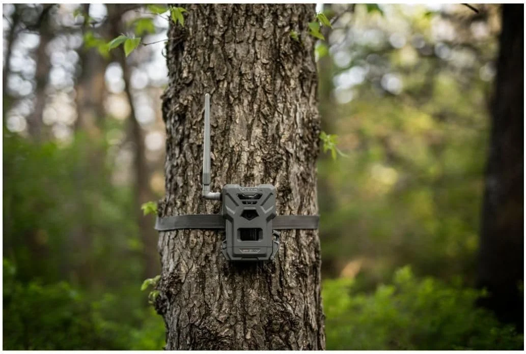Flex-m Twin Pack Cellular Trail Camera Hunting Trail Monitor with GPS, Night Vision, Dual-Sim LTE, IP65 Water-Resistant(Single) - Image 9