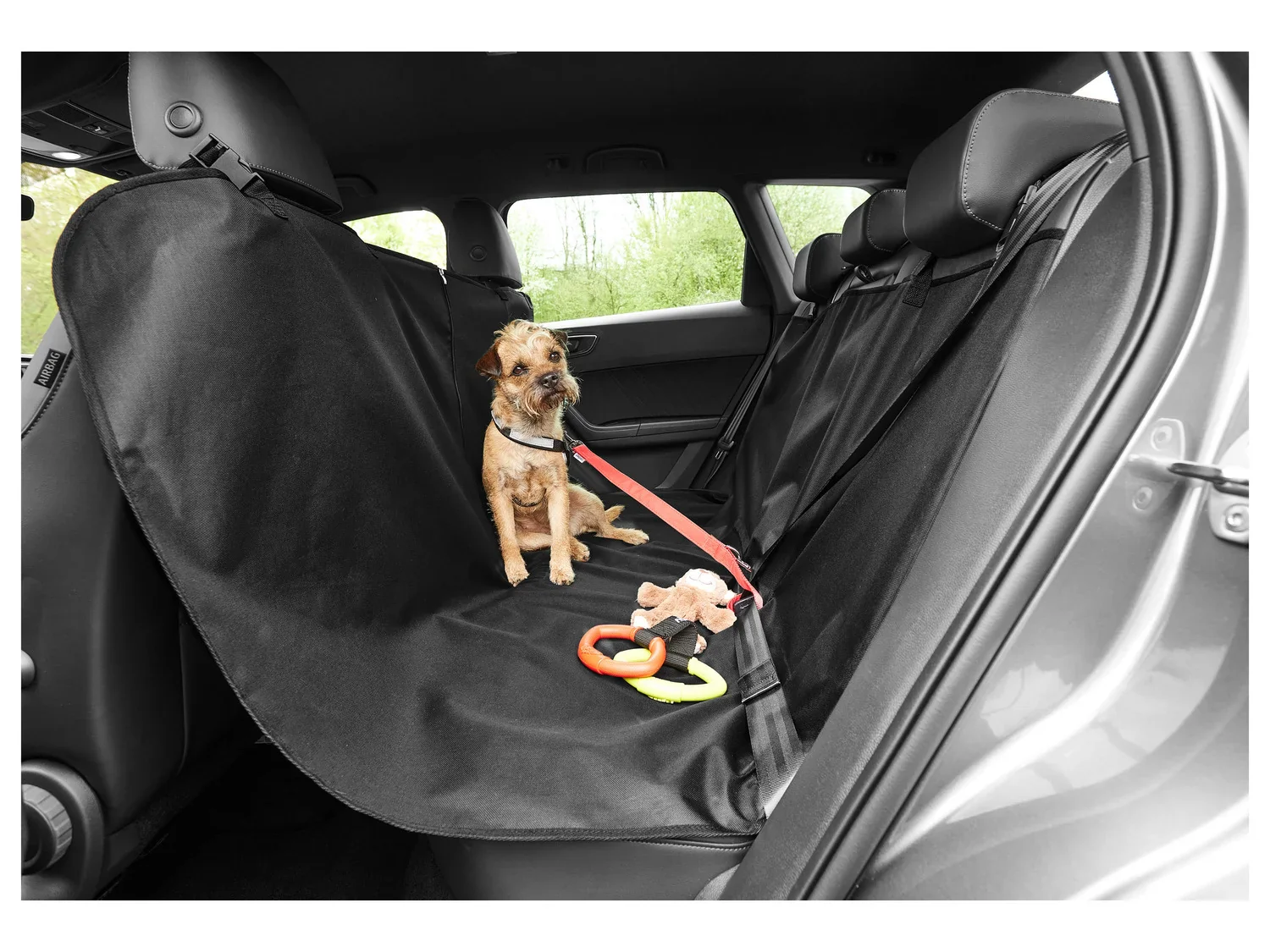 zoofari Protection de voiture pour chiens