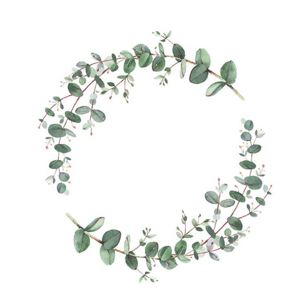 Serviett 33x33 cm 20 stk Eucalyptus Branche
