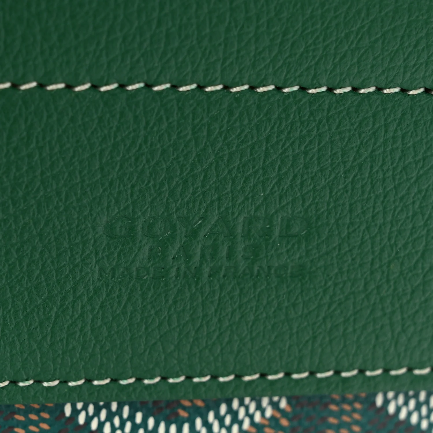 Goyardine Calfskin Mini Alpin Backpack Green