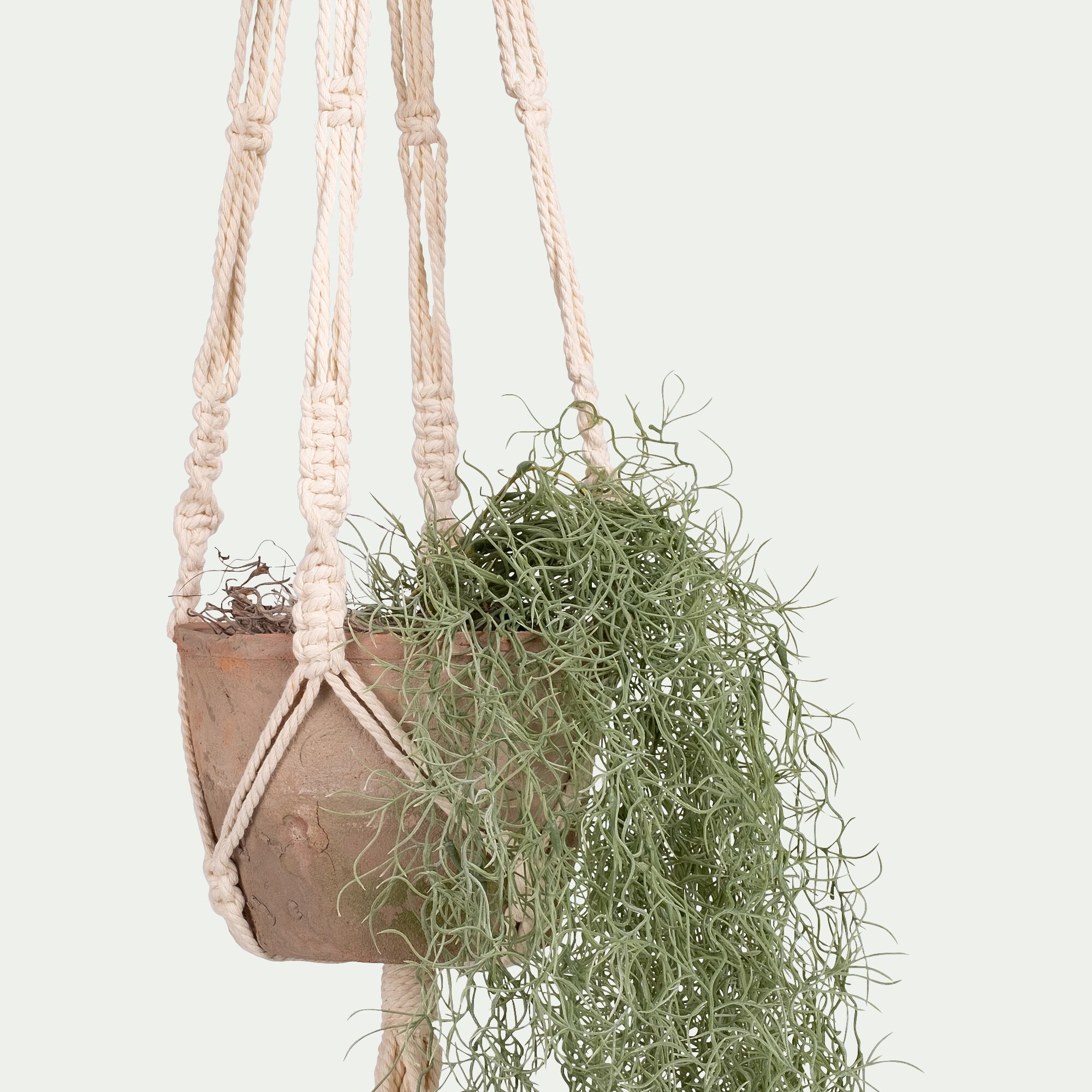 BERILLO - Plante tillandsia artificielle tombante avec pot suspendu H130cm - vert