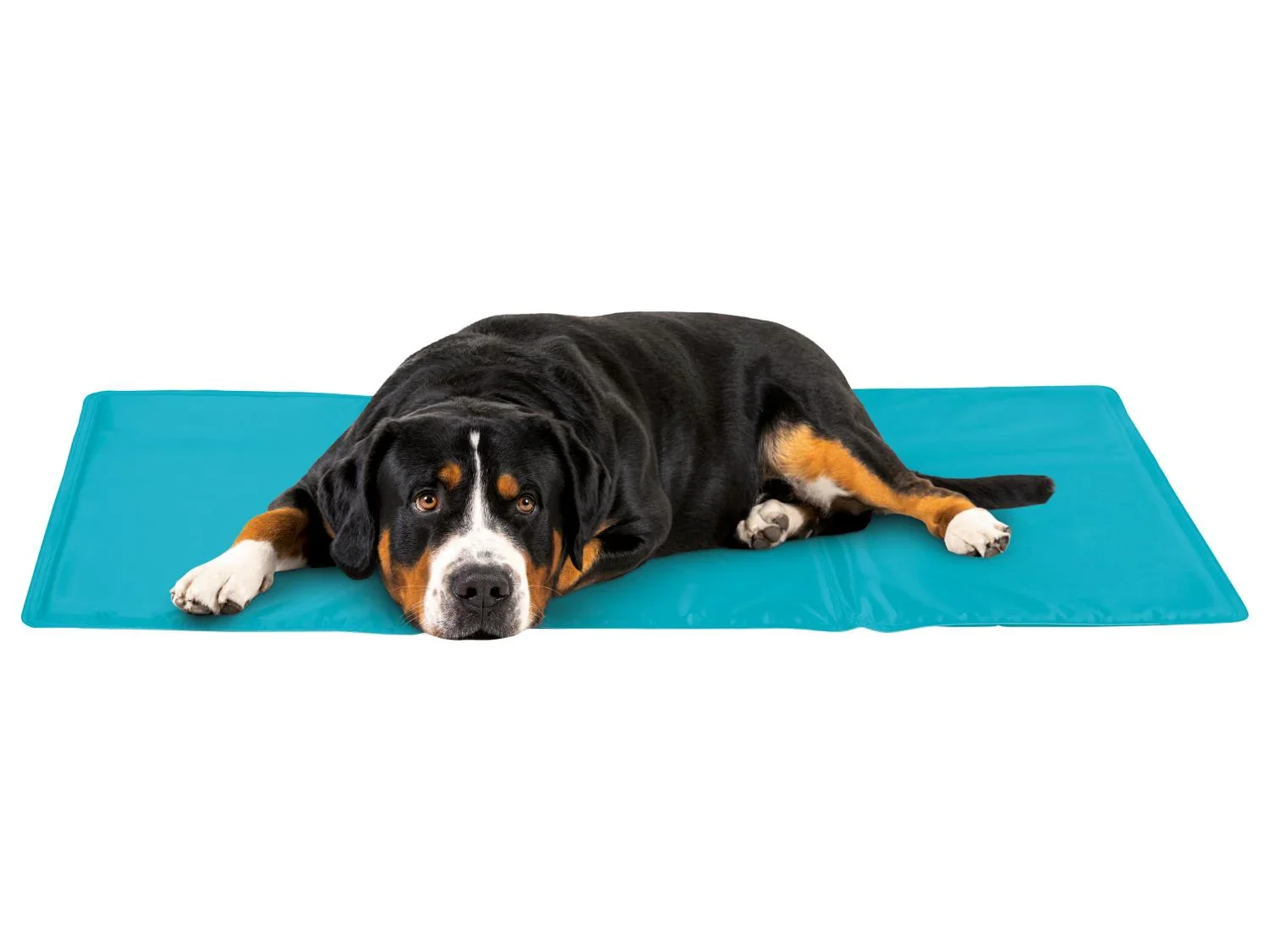 zoofari Tapis rafrachissant pour chien