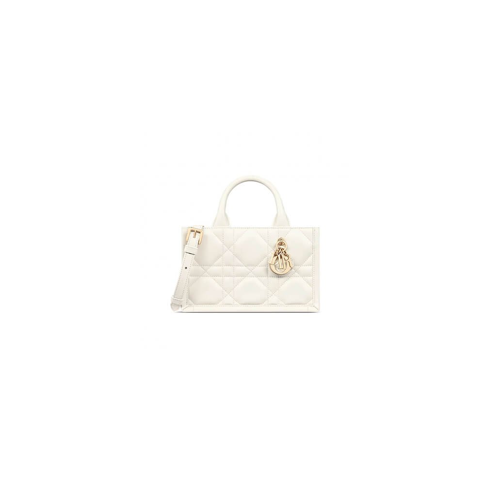 Mini Dior Book Tote