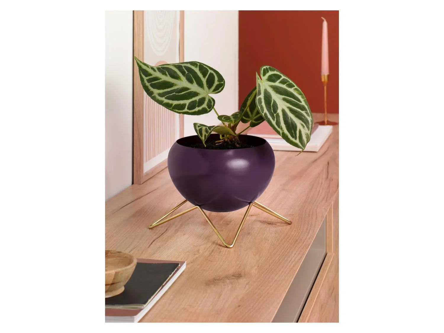 LIVARNO home Pot(s) de fleurs dcoratif(s)