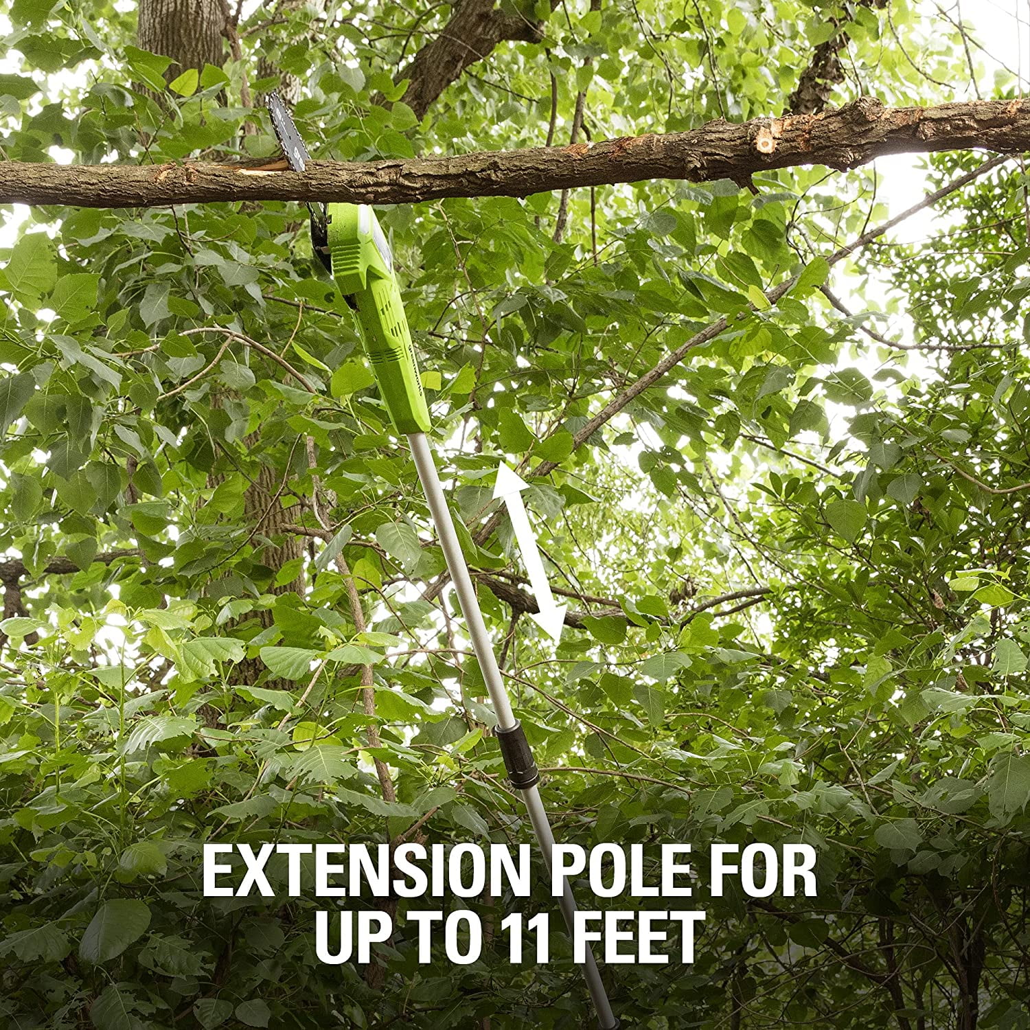8-Inch 40V Cordless Polesaw, Battery and Charger Not Included - Image 4