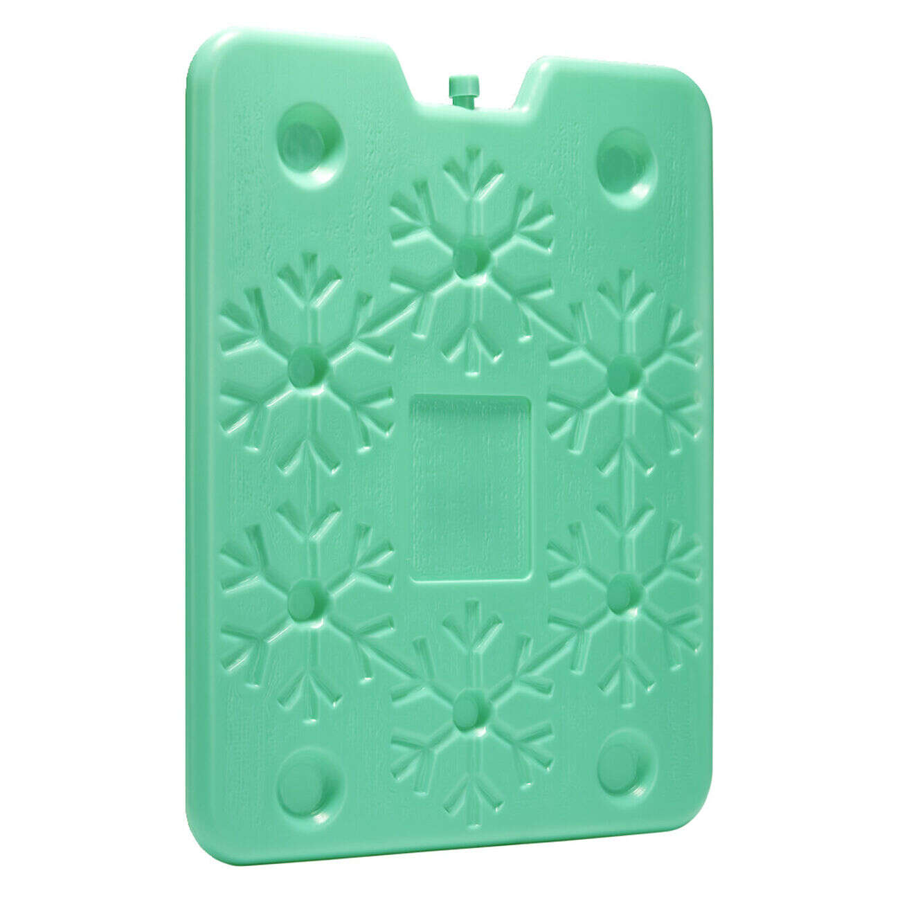 Bloc pain de glace 900ml plastique coloré 25x32cm (4 modèles)