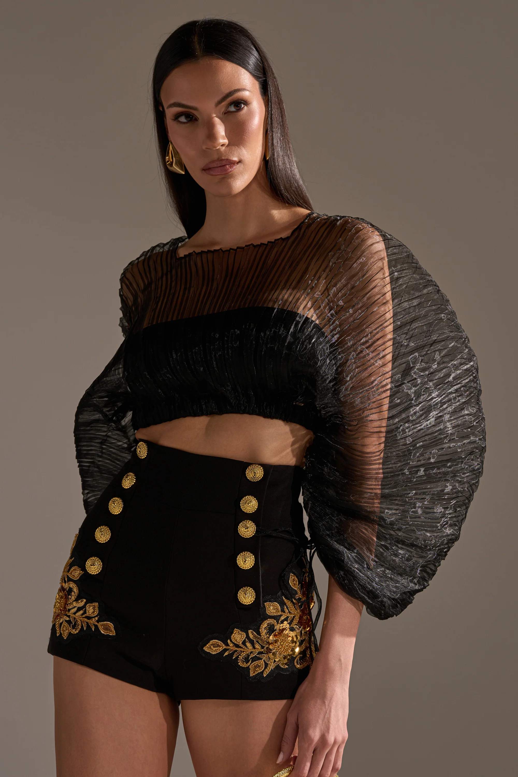 FORTUNES FAVORITE SHEER LONG SLEEVE CROP TOP - Akira Store