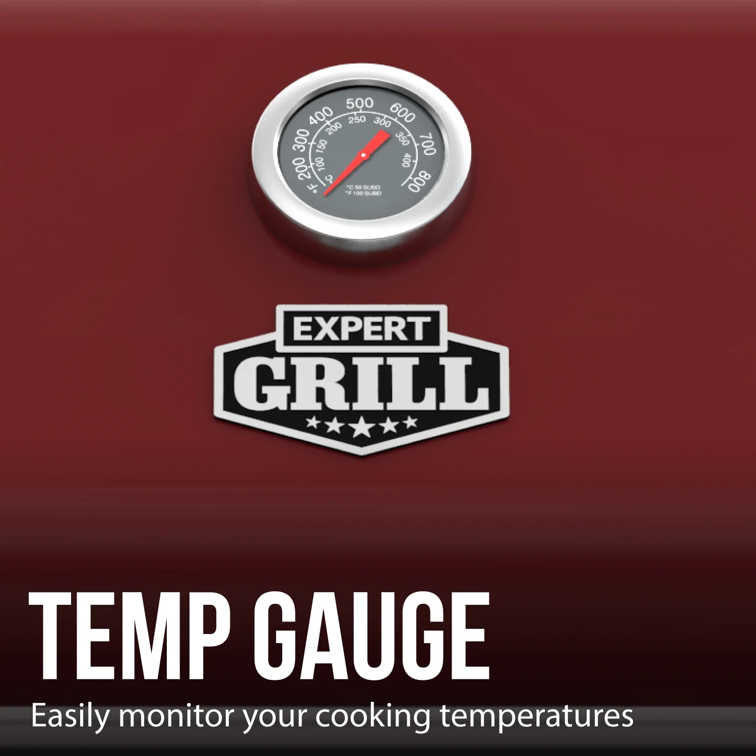 Expert Grill 5 Burner Propane Gas Grill with Side Burner