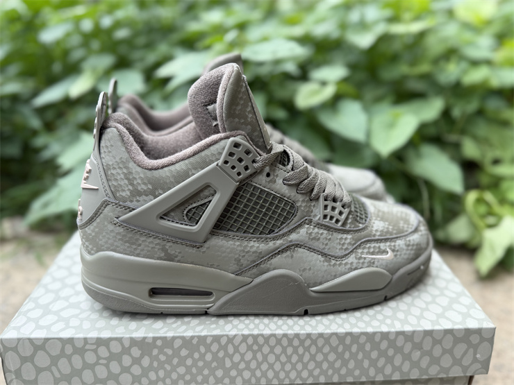 Air Jordan 4 retro kaws