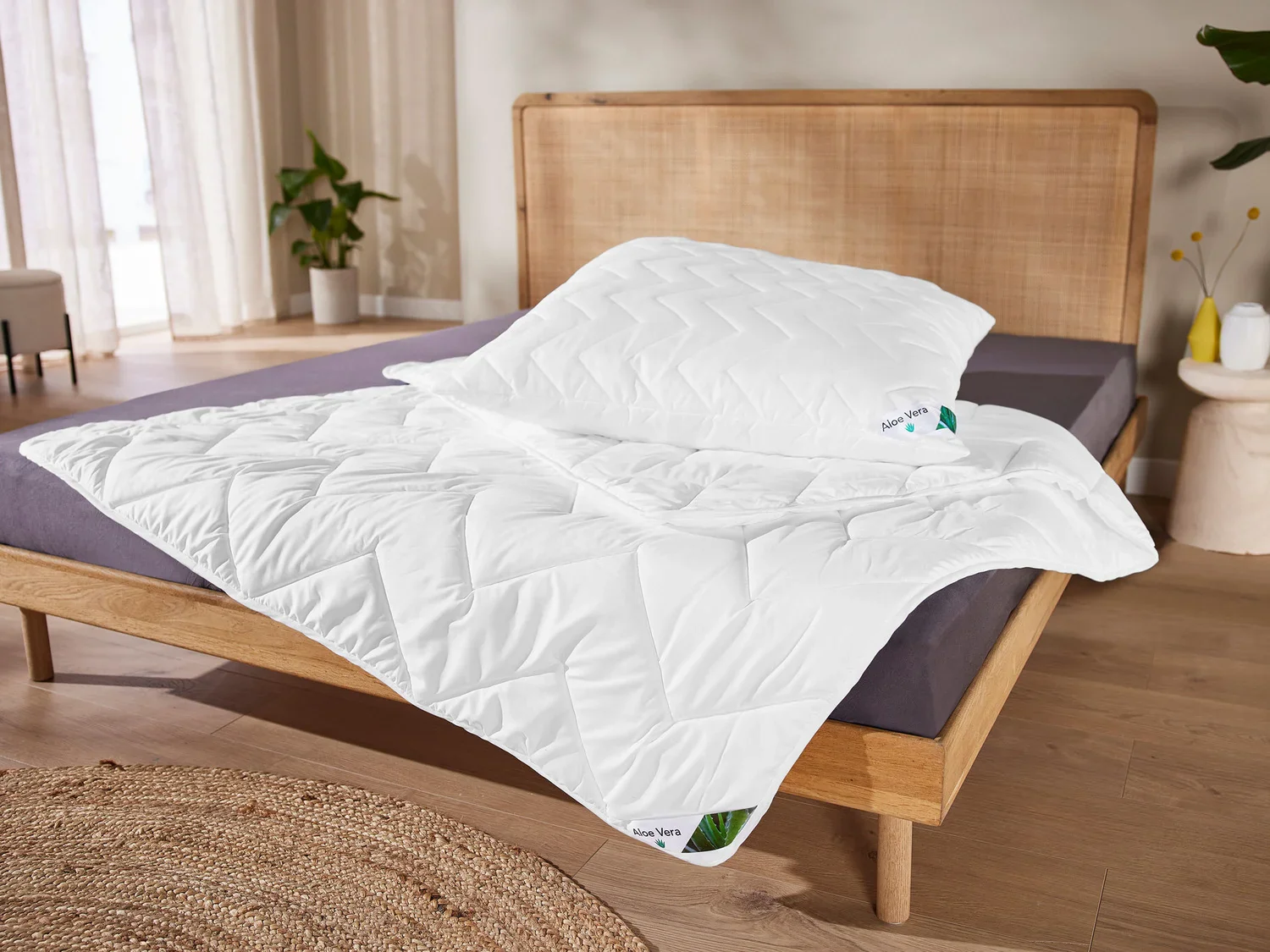 LIVARNO home Oreiller Aloe Vera, 60 x 60 cm