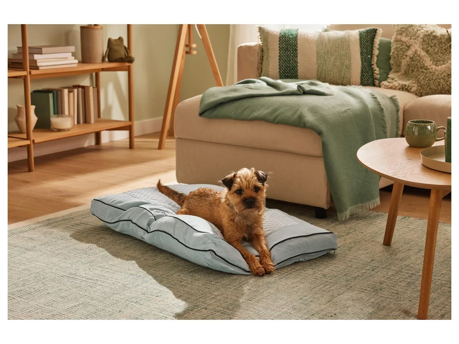 zoofari Coussin pour chien t-hiver Premium