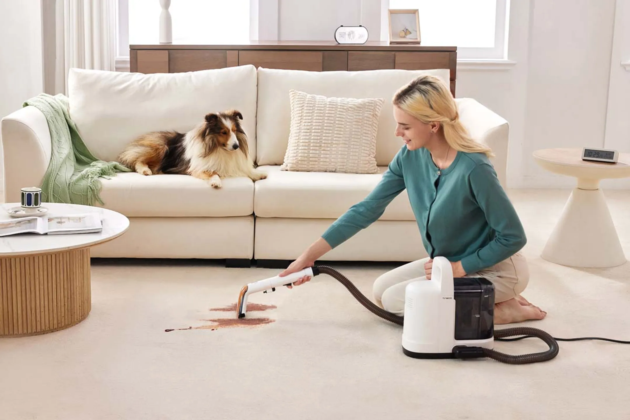 TINECO Tapijtreiniger iCarpet Spot