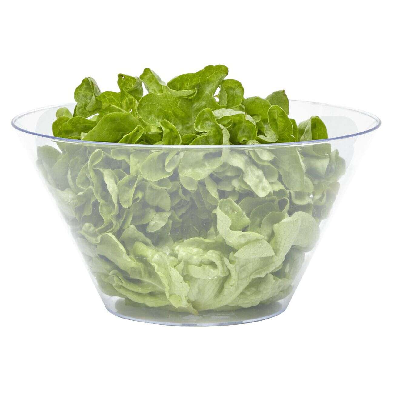 Saladier en plastique transparent