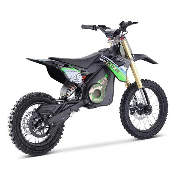 48V Pro 1600W High-performance Electric Dirt Bike