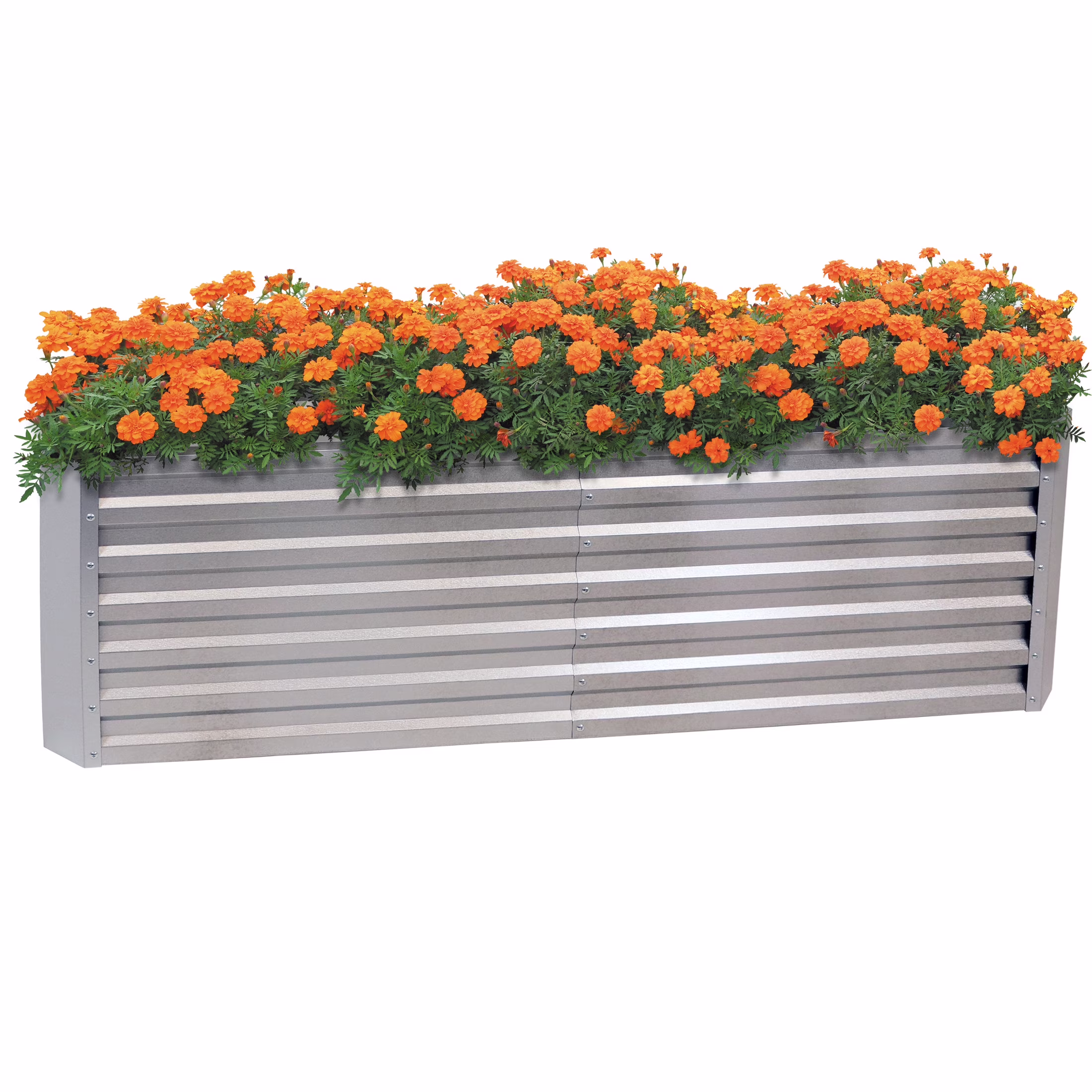 Sunnydaze 71 x 35.5 x 23.5 Rectangular Silver Galvalume Steel Raised Garden Bed