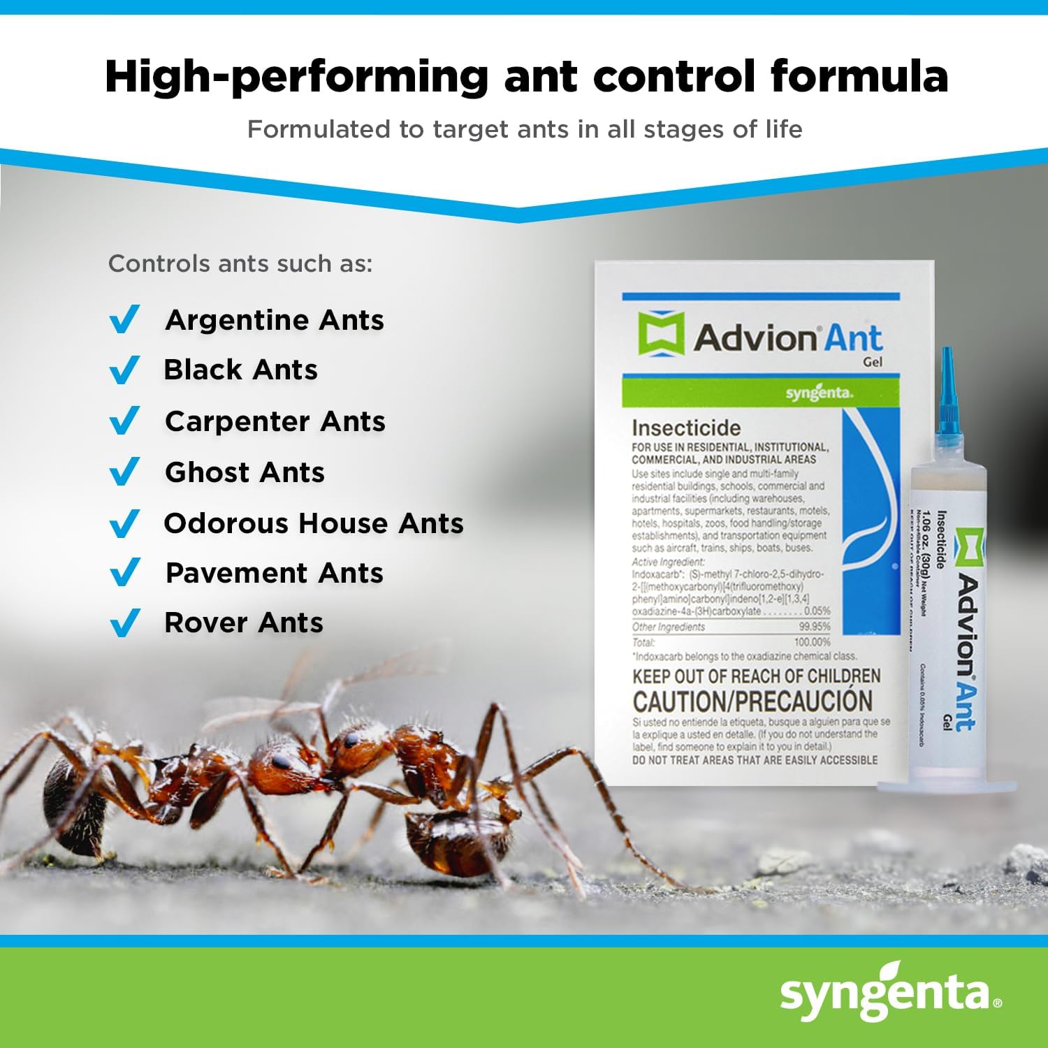 Syngenta 68078 Advion Single Tube Ant Gel Lure, 30g