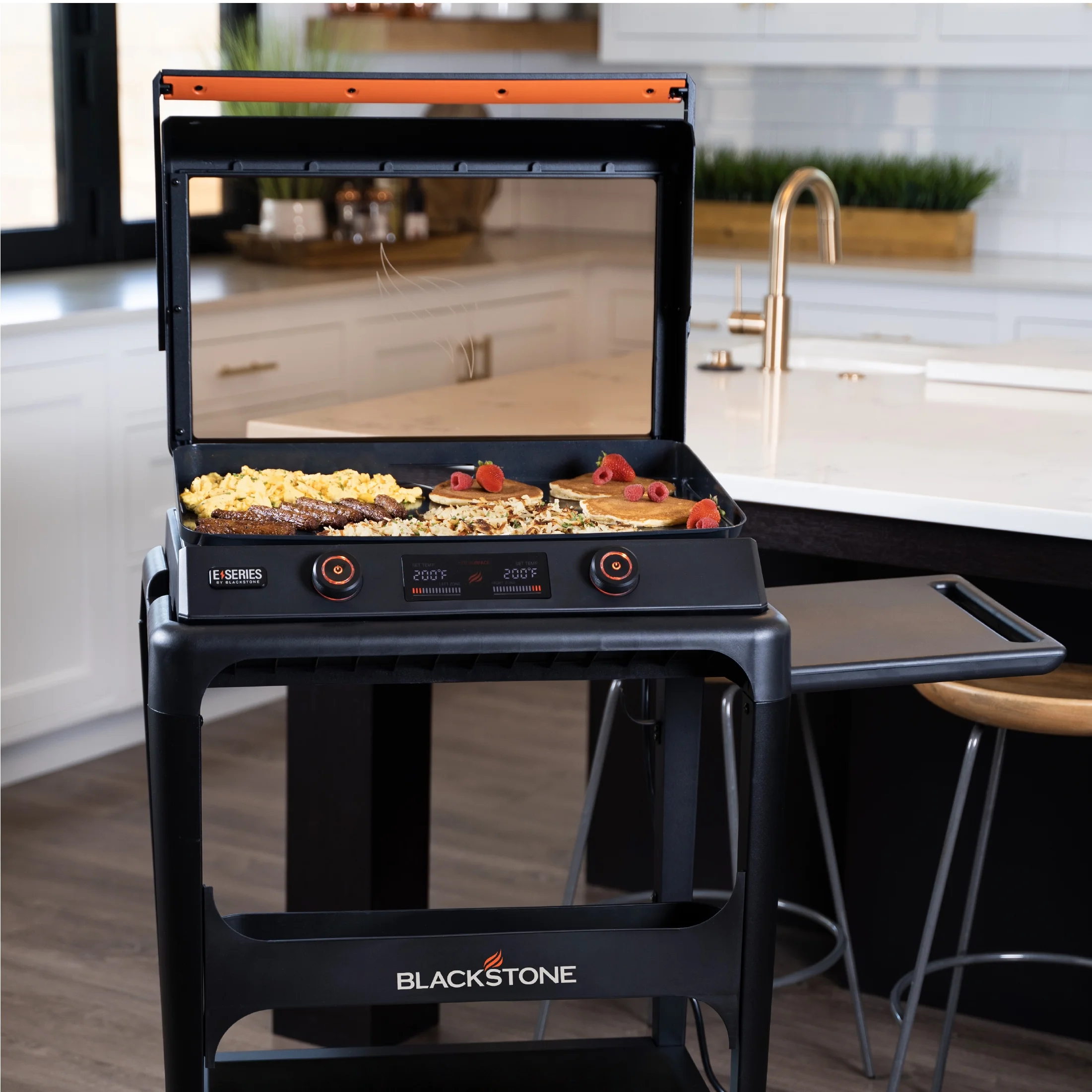 Blackstone E - Series 2 - Burner 22
