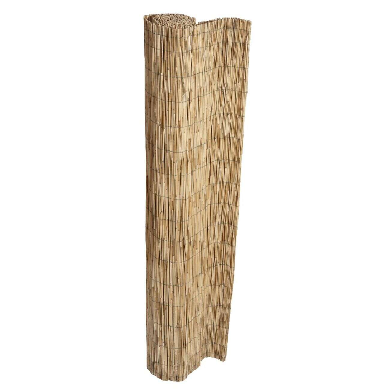 Canisse en paillon de roseaux pelés L500 x H150 cm