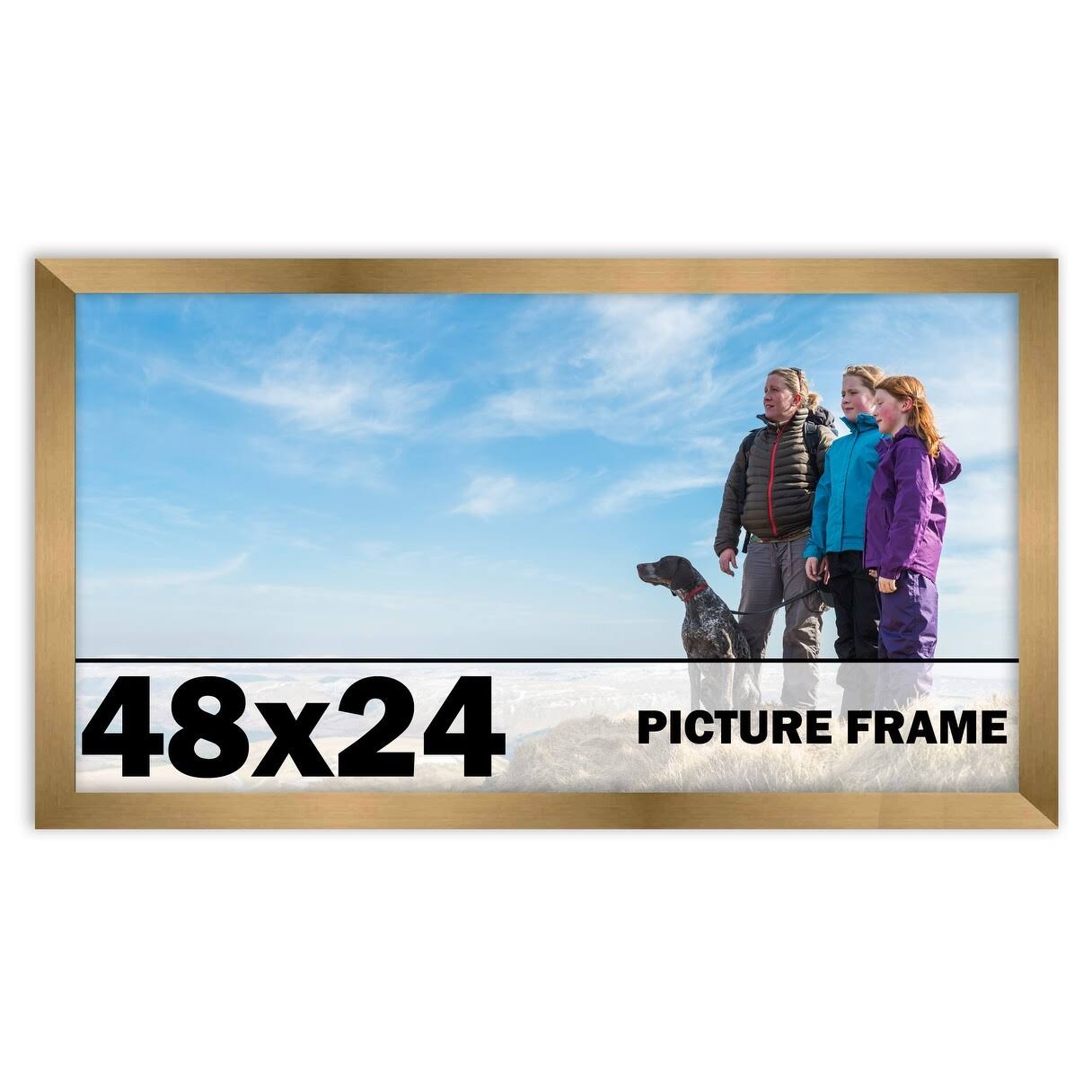 48x24 Metallic Bronze Wood Picture Frame - with Acrylic Front and Foam Board Backing